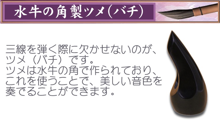 沖縄三線 ベーシックオブ三線セット☆人工皮張り 初心者入門 | 三線